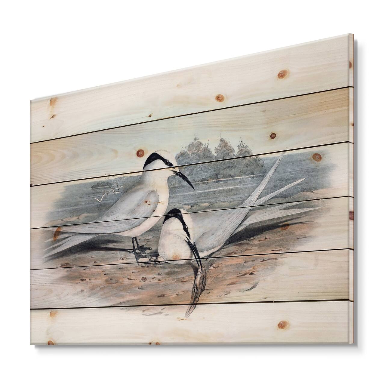 Designart - Vintage Birds In The Wild IX - Traditional Print on Natural Pine Wood